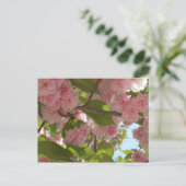 Dubbelbloeiende Cherry Tree III Spring Floral Briefkaart (Staand voorkant)