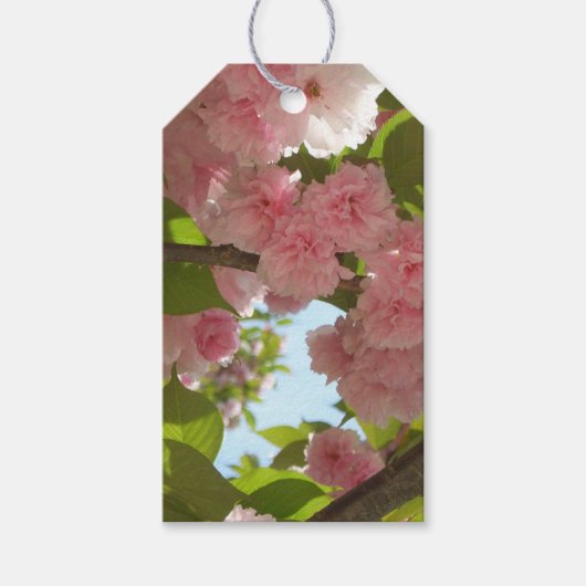 Dubbelbloeiende Cherry Tree III Spring Floral Cadeaulabel (Voorkant)