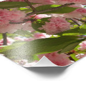 Dubbelbloeiende Cherry Tree III Spring Floral Foto Afdruk (Hoek)