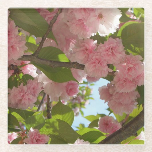 Dubbelbloeiende Cherry Tree III Spring Floral Glazen Onderzetter (Voorkant)