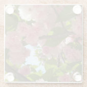 Dubbelbloeiende Cherry Tree III Spring Floral Glazen Onderzetter (Achterkant)