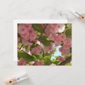 Dubbelbloeiende Cherry Tree III Spring Floral Kaart (Voorkant / Achterkant in situ)
