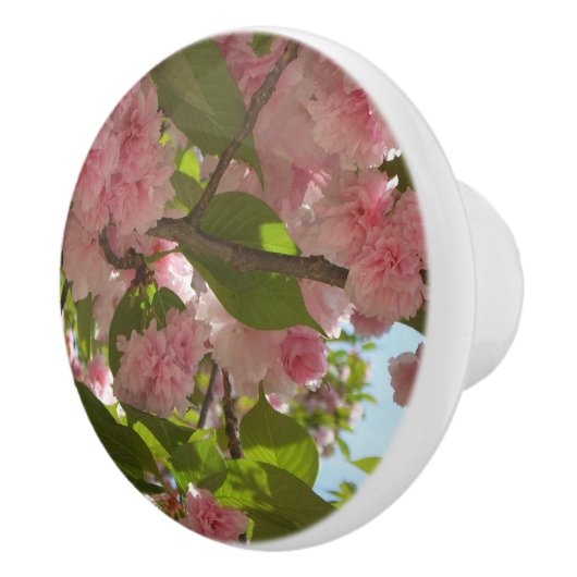 Dubbelbloeiende Cherry Tree III Spring Floral Keramische Knop (Rechts)