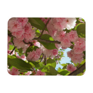 Dubbelbloeiende Cherry Tree III Spring Floral Magneet