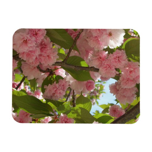 Dubbelbloeiende Cherry Tree III Spring Floral Magneet (Horizontaal)