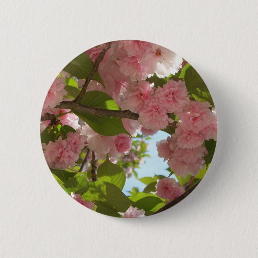 Dubbelbloeiende Cherry Tree III Spring Floral Ronde Button 5,7 Cm (Voorkant)