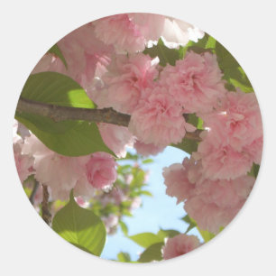 Dubbelbloeiende Cherry Tree III Spring Floral Ronde Sticker
