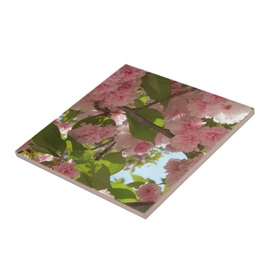 Dubbelbloeiende Cherry Tree III Spring Floral Tegeltje (Zijkant)