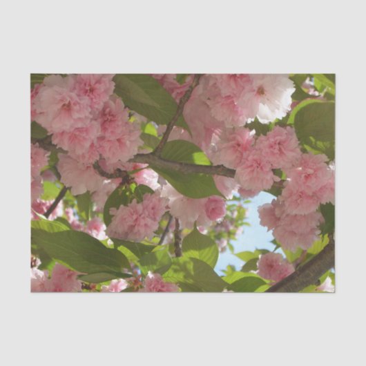 Dubbelbloeiende Cherry Tree III Spring Floral Tissuepapier (Voorkant)