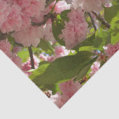 Dubbelbloeiende Cherry Tree III Spring Floral Tissuepapier (Detail)