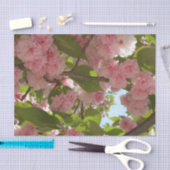 Dubbelbloeiende Cherry Tree III Spring Floral Tissuepapier (Craft)