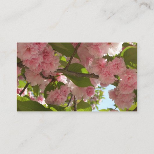Dubbelbloeiende Cherry Tree III Spring Floral Visitekaartje (Achterkant)