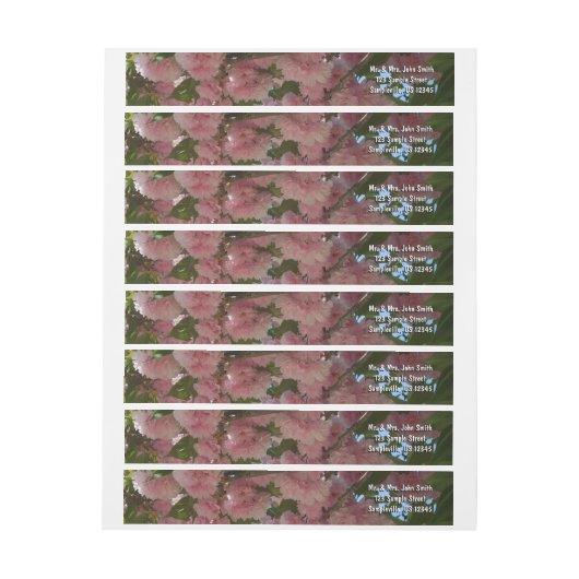 Dubbelbloeiende Cherry Tree IV Spring (Vel)