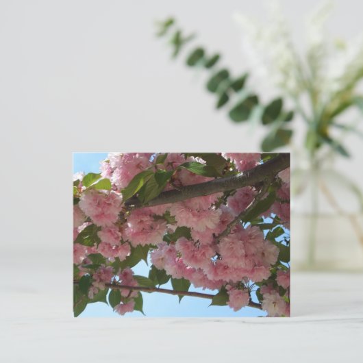 Dubbelbloeiende Cherry Tree IV Spring Briefkaart (Staand voorkant)