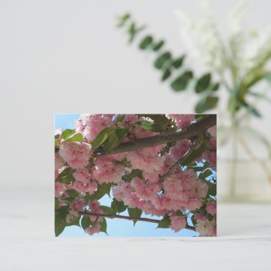 Dubbelbloeiende Cherry Tree IV Spring Briefkaart (Staand voorkant)
