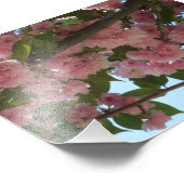 Dubbelbloeiende Cherry Tree IV Spring Foto Afdruk (Hoek)