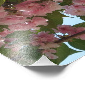 Dubbelbloeiende Cherry Tree IV Spring Foto Afdruk (Hoek)