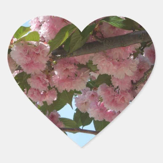Dubbelbloeiende Cherry Tree IV Spring Hart Sticker (Voorkant)