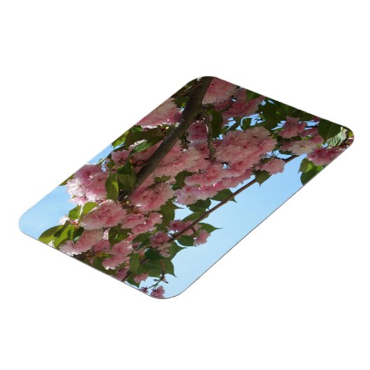 Dubbelbloeiende Cherry Tree IV Spring Magneet (Linkerzijde)