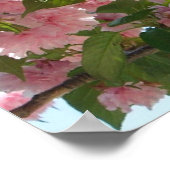 Dubbelbloeiende Cherry Tree IV Spring Poster (Hoek)