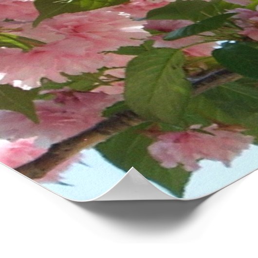 Dubbelbloeiende Cherry Tree IV Spring Poster (Hoek)