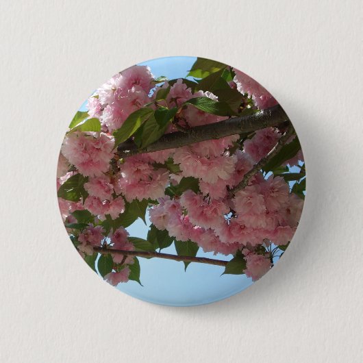 Dubbelbloeiende Cherry Tree IV Spring Ronde Button 5,7 Cm (Voorkant)