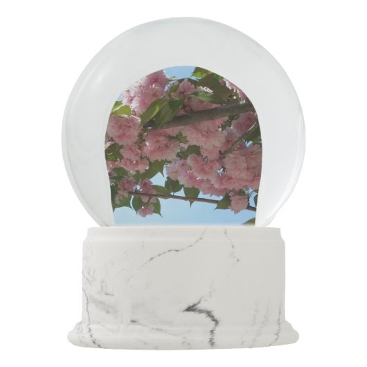 Dubbelbloeiende Cherry Tree IV Spring Sneeuwbol (Achterkant)