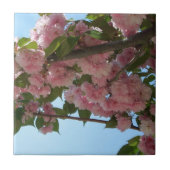 Dubbelbloeiende Cherry Tree IV Spring Tegeltje (Voorkant)