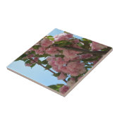 Dubbelbloeiende Cherry Tree IV Spring Tegeltje (Zijkant)