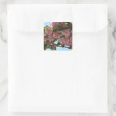 Dubbelbloeiende Cherry Tree IV Spring Vierkante Sticker (Tas)