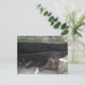 Dubbelblootgestelde wolverine Resten, Shows wetten Briefkaart (Staand voorkant)