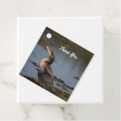 Dubbelborstaalscholver Bedankjes Labels (In situ)