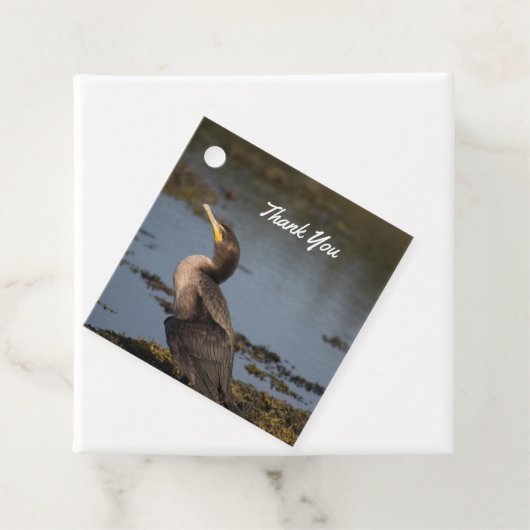 Dubbelborstaalscholver Bedankjes Labels (In situ)