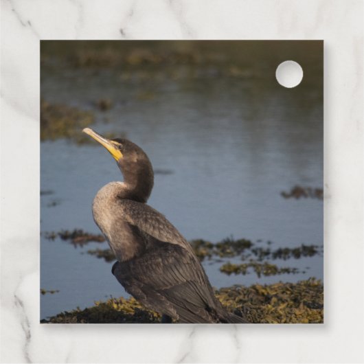 Dubbelborstaalscholver Bedankjes Labels (Achterkant)