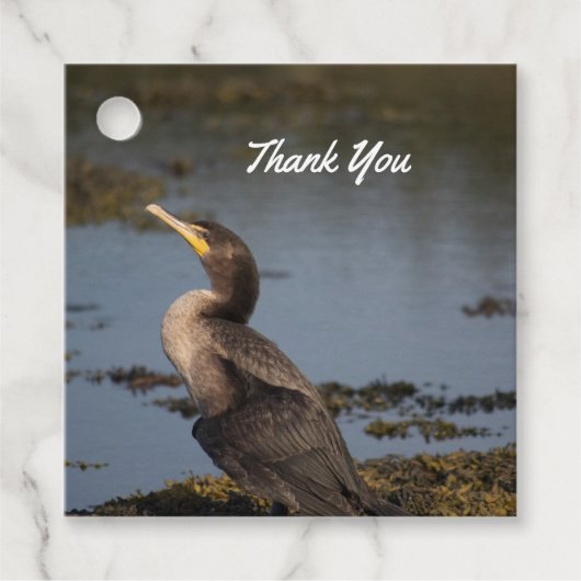 Dubbelborstaalscholver Bedankjes Labels (Voorkant)