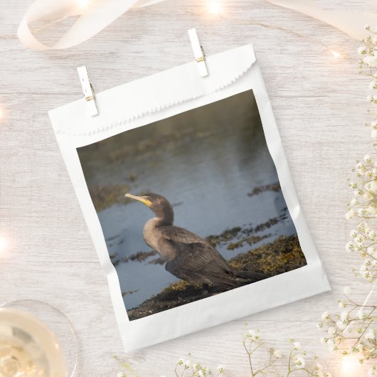 Dubbelborstaalscholver Bedankzakje (Geknipt)