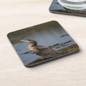 Dubbelborstaalscholver Bier Onderzetter (Linkerzijde)