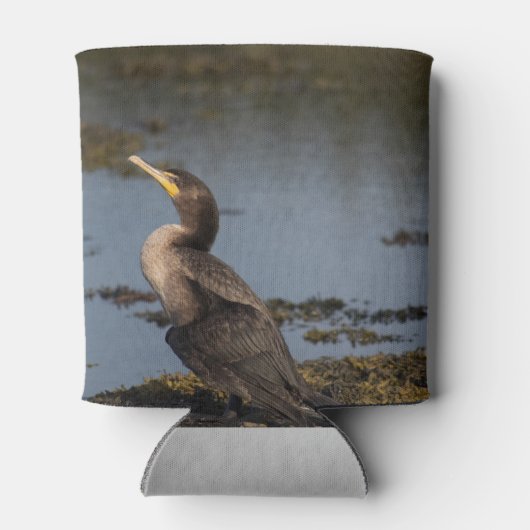 Dubbelborstaalscholver Blikjeskoeler (Achterkant)