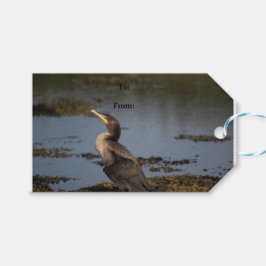 Dubbelborstaalscholver Cadeaulabel