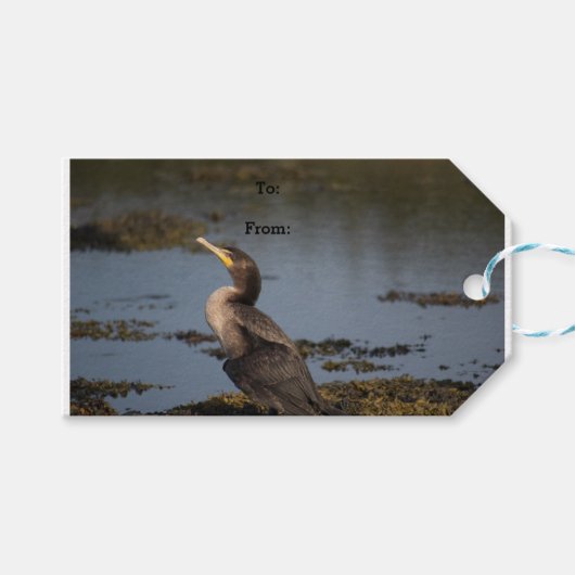 Dubbelborstaalscholver Cadeaulabel (Voorkant (Horizontaal))