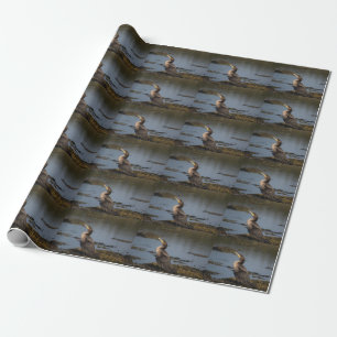 Dubbelborstaalscholver Cadeaupapier