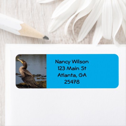 Dubbelborstaalscholver Etiket (Insitu)