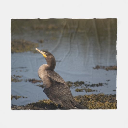 Dubbelborstaalscholver Fleece Deken (Voorkant (Horizontaal))