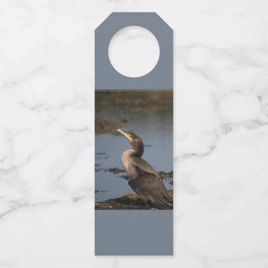 Dubbelborstaalscholver Flessenhanger (Achterkant)