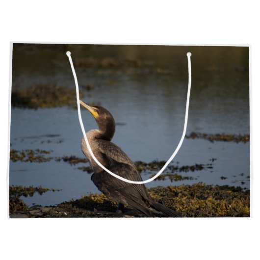 Dubbelborstaalscholver Groot Cadeauzakje (Achterkant)