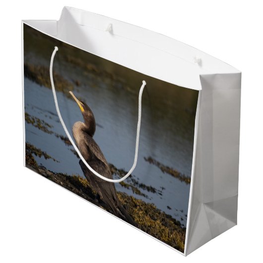 Dubbelborstaalscholver Groot Cadeauzakje (Achterkant Gekanteld)