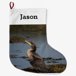 Dubbelborstaalscholver Grote Kerstsok