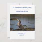 Dubbelborstaalscholver Kaart (Voorkant)