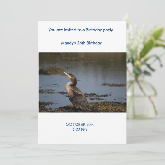 Dubbelborstaalscholver Kaart (Staand voorkant)