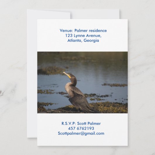 Dubbelborstaalscholver Kaart (Achterkant)